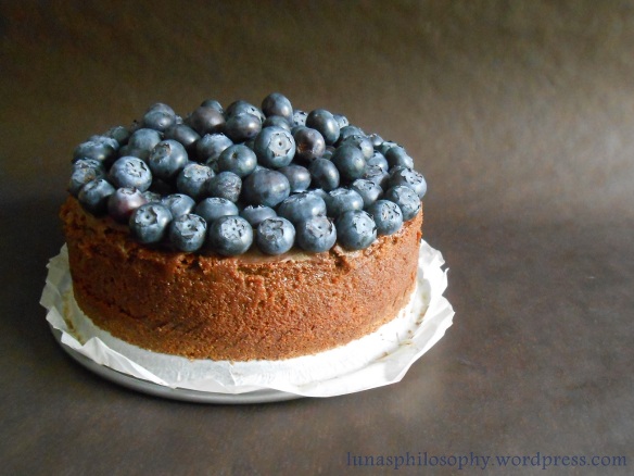 Chocolate Cheesecake with Blueberries